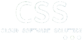 CSS Logo