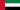 Dubai Flag
